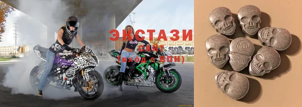СК Дмитровск