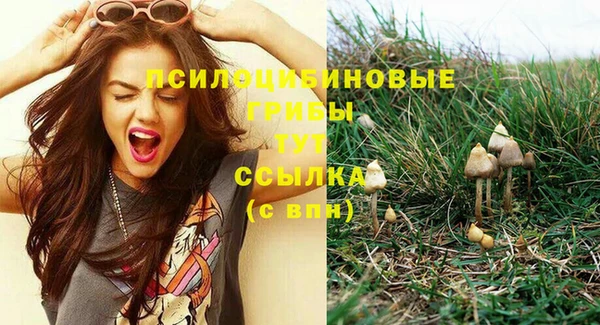 прущие крисы Дмитров