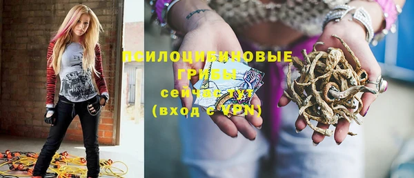 прущие крисы Дмитров
