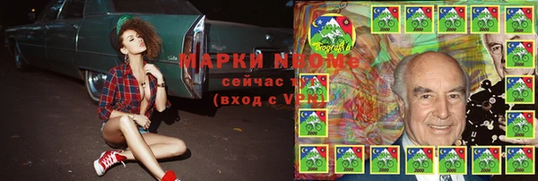 СК Дмитровск