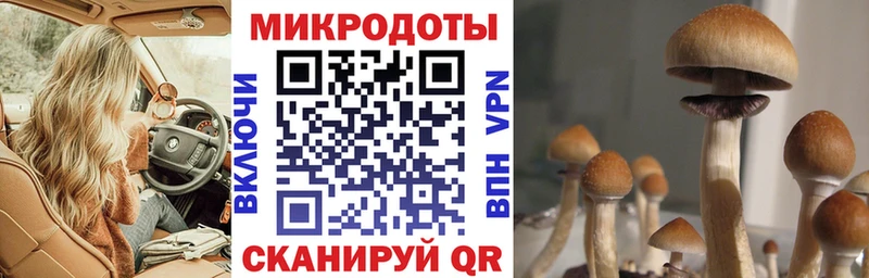 Купить Карабаш Псилоцибиновые грибы мицелий